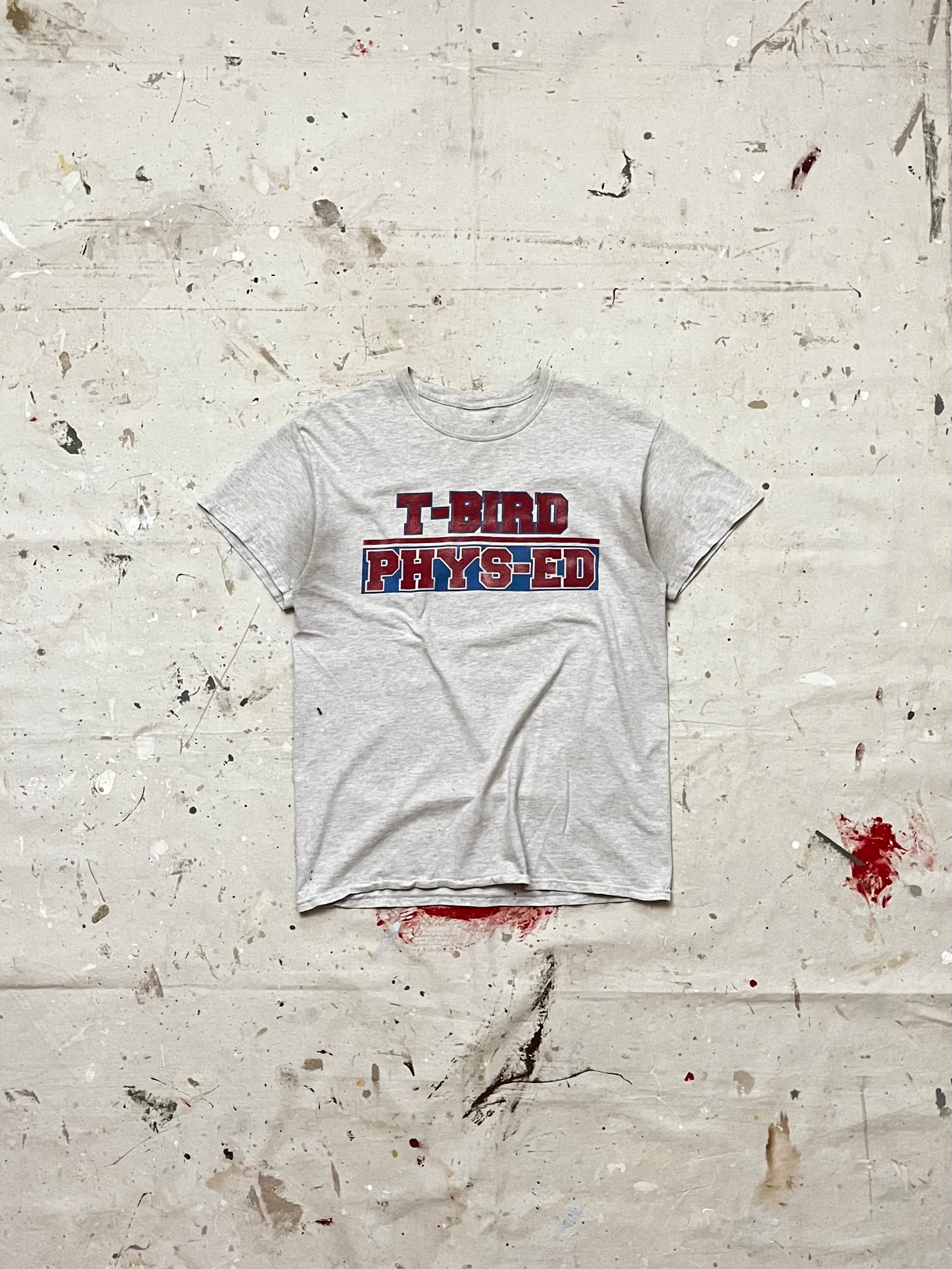 2000s T-Birds T Shirt - M